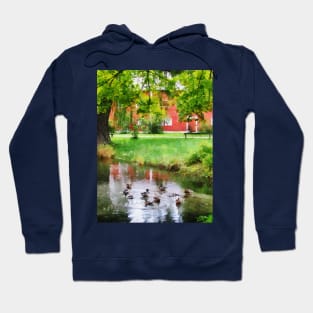 Farms - Ducks on Pond Hoodie